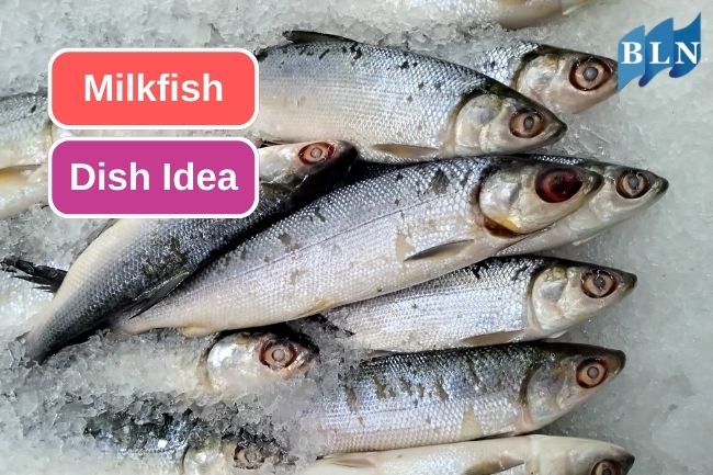 4 Simple Milkfish Dish Idea To Make At Home